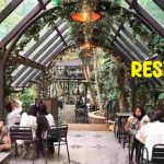 Ini 5 Rekomendasi Restoran Unik di Indonesia yang Wajib Dicoba!